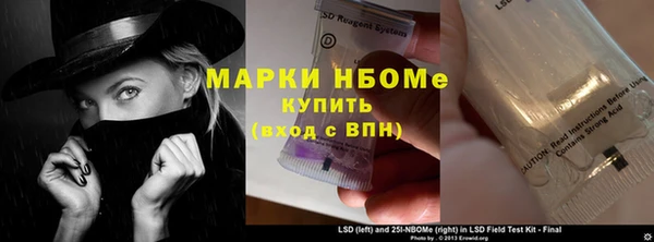 мдпв Лагань