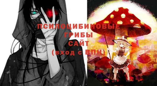 крисы Ладушкин